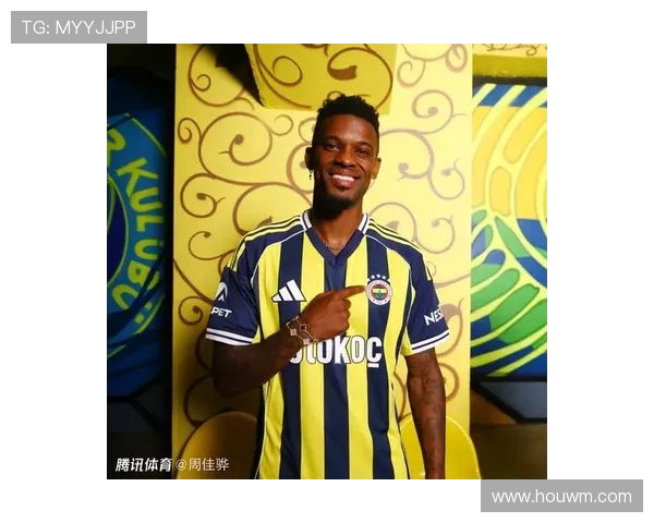 塞梅多膝伤撕裂费内巴切官宣讯 塞梅多膝伤撕裂费内巴切官宣讯